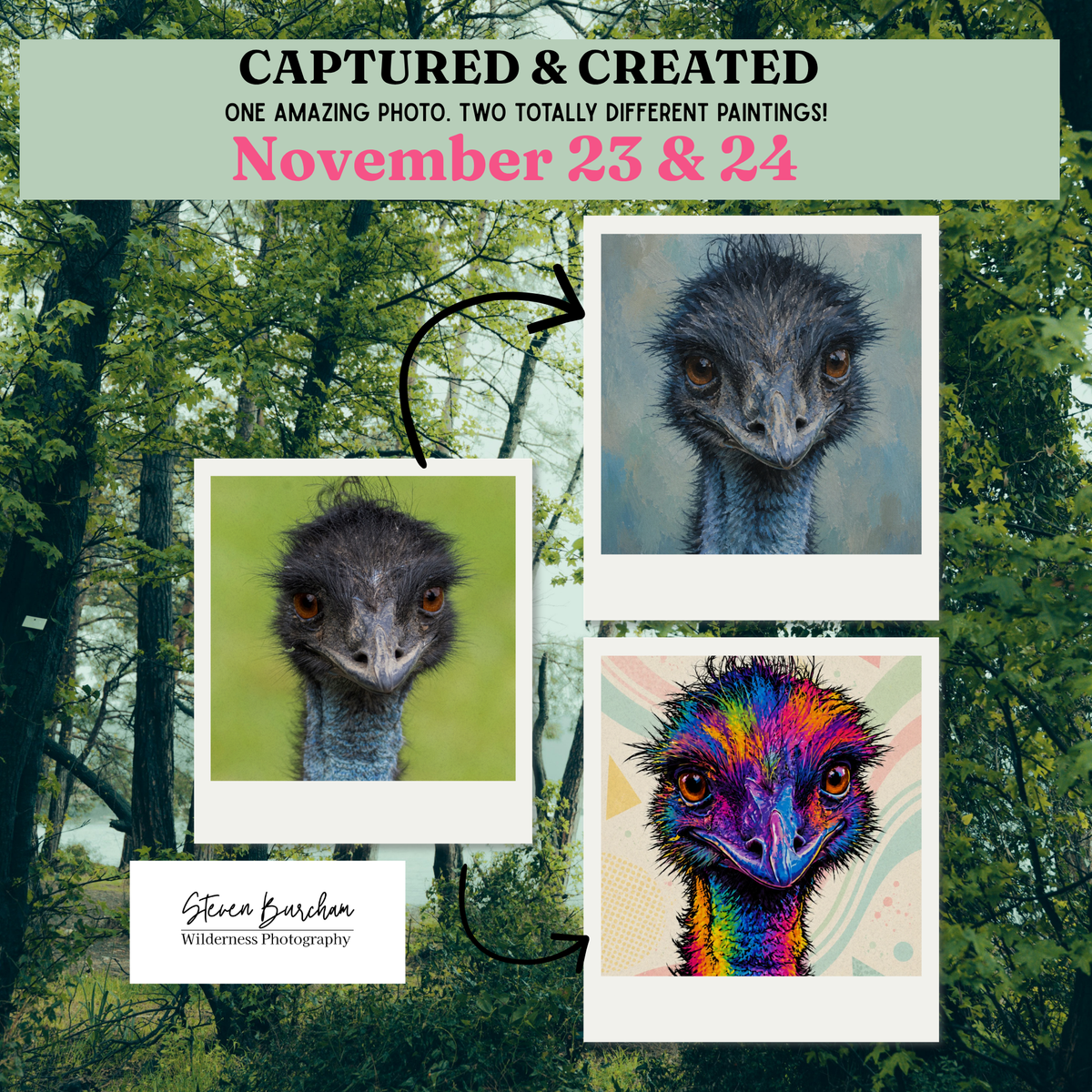 Australian Emu (Captured & Created)